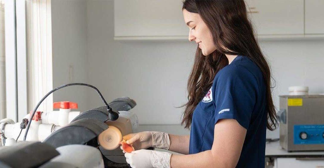 Diş Hekimi Asistanlığı